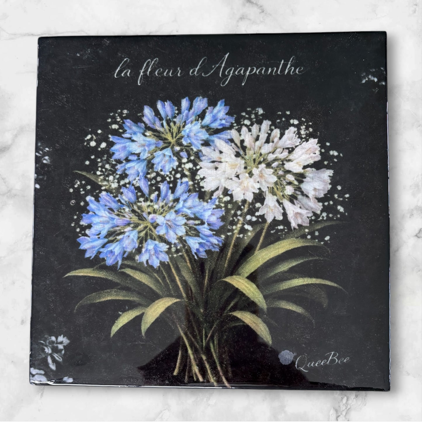 Dessous de plat décoratif – La fleur d'Agapanthe
